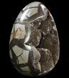 Septarian Dragon Egg Geode - Black Crystals #96724-1